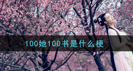 100她100书梗是什么意思