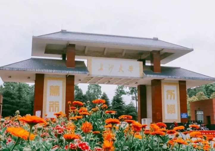 长沙学院(Changsha University)，简称“长大”，是经中华人民共和国教育部批准的全日制普通高等本科院校，实行省市共建共管、以长沙市为主管理的体制，属于湖南省“双一流”高水平应用特色学院，入选教育部首批新工科研究与实践项目、湖南省2011计划 ，是国家“十三五”应用型本科产教融合发展工程规划高校、全国高校实践育人创新创业基地、CDIO工程教育联盟成员单位。