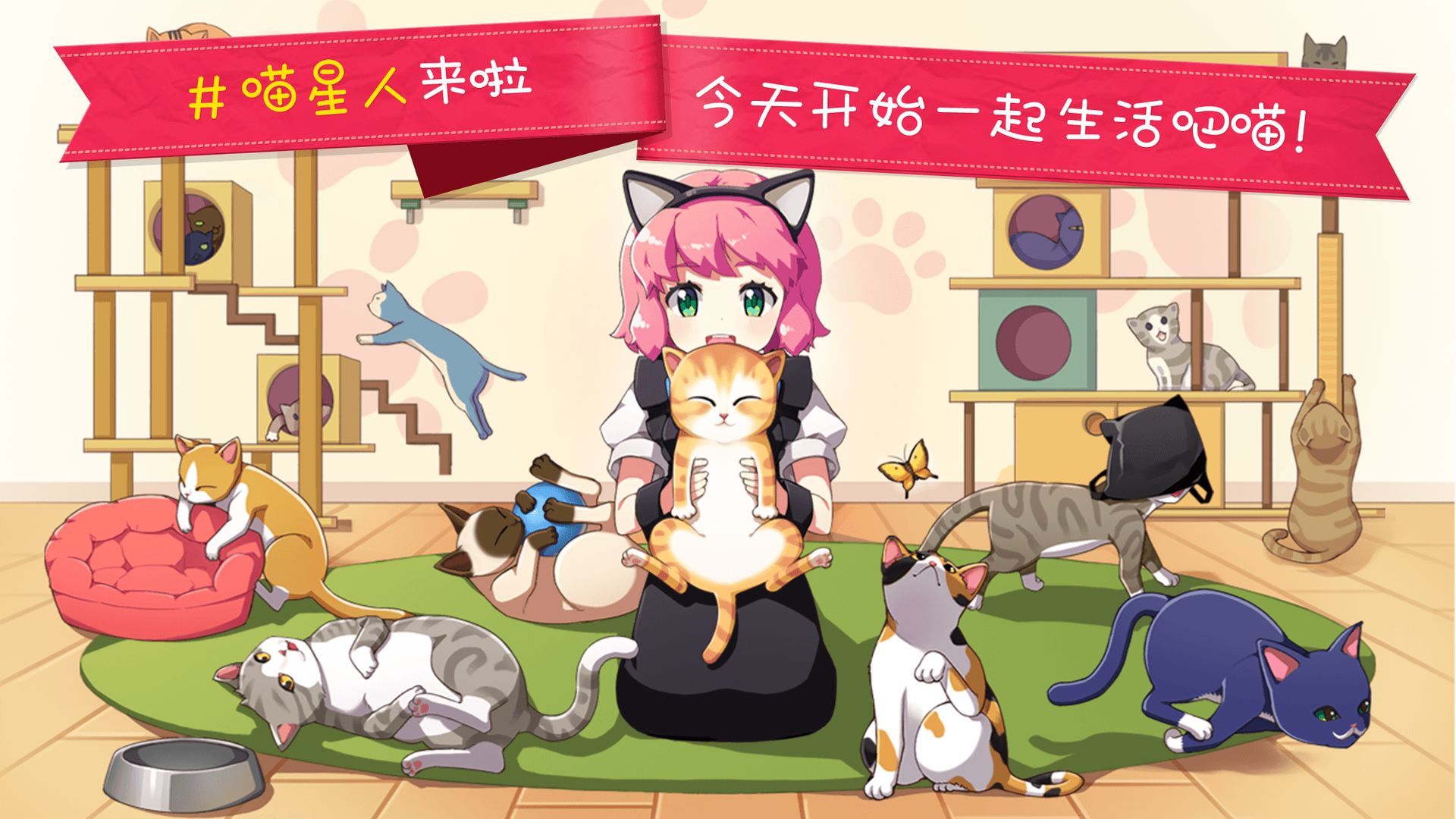 猫猫咖啡屋游戏下载